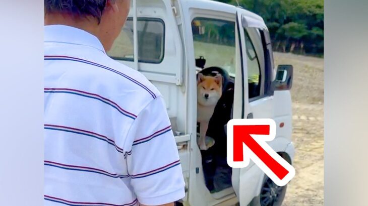 車で『大好きなおじいちゃん』を待つ犬→会えた瞬間に…たまらなく愛おしい『再会時のリアクション』が15万再生「目がキラキラ」「いい笑顔」(ブログ)