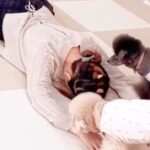 『突然リビングで眠ったら、3匹の犬はどうするのか』検証→『心配してくれるかな』と思ったら…予想外だった『コントのような反応』が26万再生(ブログ)