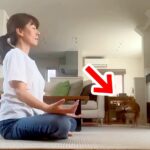 瞑想していたら『どうしても遊んでほしい犬』が近づいて…絶対に集中できない『煩悩まみれの光景』が15万再生「無視出来ないｗ」「可愛いｗ」(ブログ)