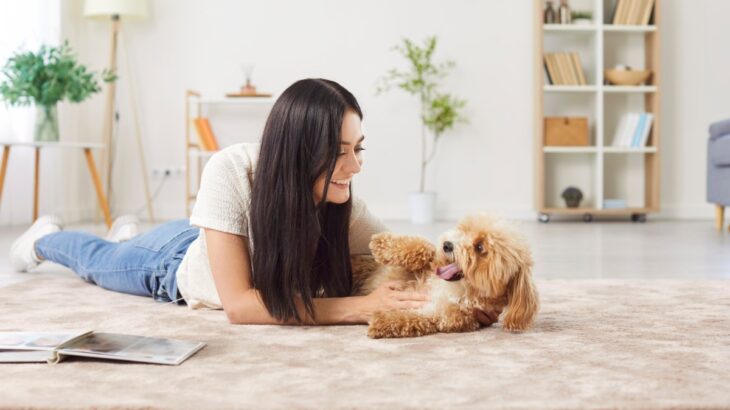 犬が『飼い主の髪を食べてしまう』理由５つ　止めさせた方がいいの？飲み込んだときに起こる愛犬への悪影響とは(ブログ)