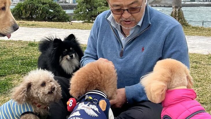 男性に大集合する小型犬たち→1匹だけ『大型犬』が混ざり…まさかの『勘違いしている様子』に3万いいね「小さいつもりｗ」「順番待って偉い」(ブログ)