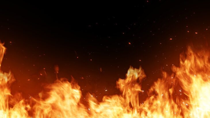 犬が引き起こす『火事』の原因4つ　危険が潜んでいる場所から安全に暮らすための予防策まで(ブログ)