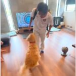 寮生活をしているお兄ちゃんと『5ヶ月ぶりに再会した大型犬』→思わず涙があふれる『感動の再会』に反響「とてもステキ」「ギューンってなる」(ブログ)