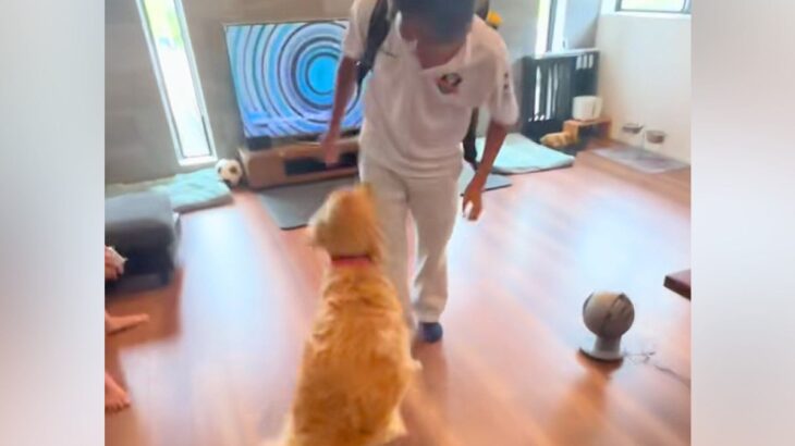 寮生活をしているお兄ちゃんと『5ヶ月ぶりに再会した大型犬』→思わず涙があふれる『感動の再会』に反響「とてもステキ」「ギューンってなる」(ブログ)