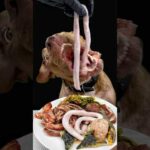 食欲の秋が止まらない犬🤣(YouTube)