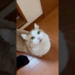 日々鍛錬を怠りません(YouTube)