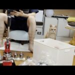 お母さんが見かけたひのきの秀吉を見かけたら殴りたくなる一日(YouTube)
