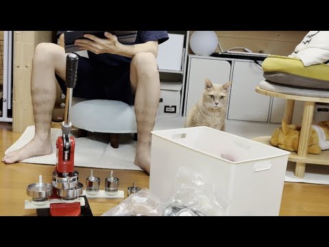 お母さんが見かけたひのきの秀吉を見かけたら殴りたくなる一日(YouTube)