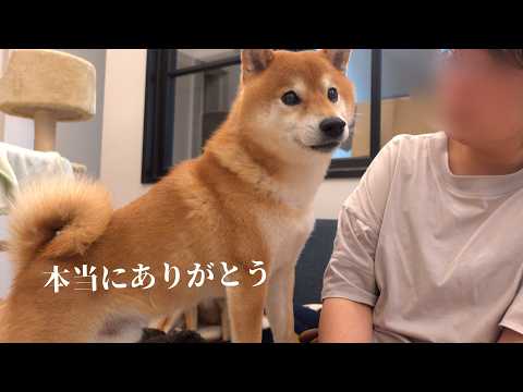 悲しみと絶望の淵でこの子たちに救われました。(YouTube)