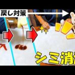 猫飼いの救世主！洗濯できない布製家具もリンサークリーナーで徹底洗浄🐈(YouTube)