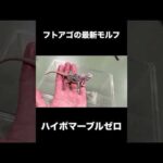 フトアゴの最新モルフが凄かった(YouTube)