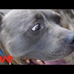 【ライブ】耳寄りのお話し　16時30分より(YouTube)