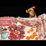 犬の咀嚼音!!圧倒的な力で骨を噛み砕く音がクセになる(YouTube)