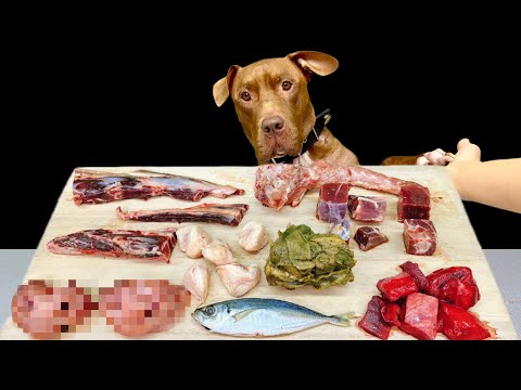 【ASMR】犬界最強‼︎ピットブルがボリボリ鹿の肋骨を噛み砕く‼︎咀嚼音が心地良すぎてもはや睡眠導入剤！音フェチにおすすめ！(YouTube)