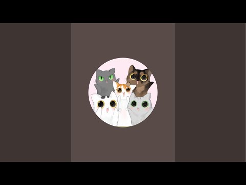 10/11 お昼のゲリラ配信🐱(YouTube)
