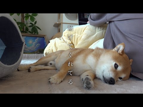 助けてくれてありがとね。(YouTube)
