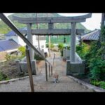 歩き疲れて神社の階段で休憩していると来てくれる猫がいて癒やされた(YouTube)