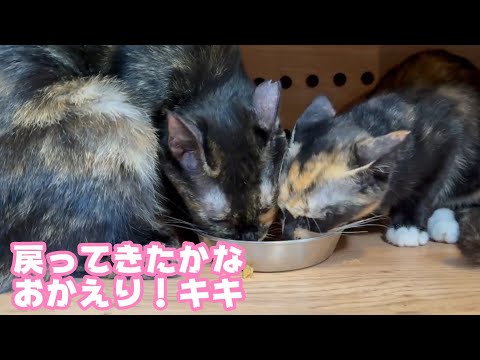 着替えてかえってきたのかな おかえりキキ  2025 10 05 2(YouTube)