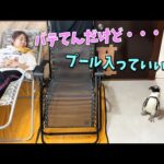 ママが夏バテしてるけど全く気にしてないペンギンw(YouTube)