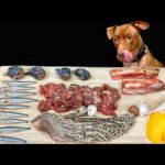 ここでしか聞けない咀嚼音!!ピットブルが豪快に骨付き肉を噛み砕くASMR(YouTube)