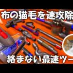 【検証】布の猫毛を最短で取る方法｜ダイソン毛絡み防止スクリューツールをV10でテスト🐈(YouTube)