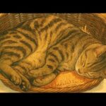 ヨシコさん行方不明1週間 2025.10.07-1(YouTube)