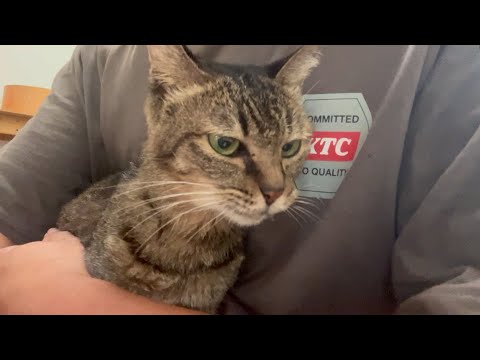 何でも良いから少し食べて欲しい(YouTube)