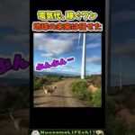 家庭の電気をまかなってくれる犬😂【犬】#犬 #dog(YouTube)