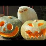 カピバラcapybara(YouTube)