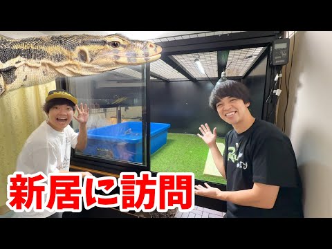 40万人越えの生き物系YouTuberのお宅に訪問した結果…生き物だらけの新居が凄すぎた(YouTube)