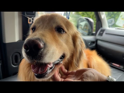 アムロ、助手席デビューの日(YouTube)
