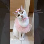 AIにトロを可愛くしてもらいました！ #shorts(YouTube)