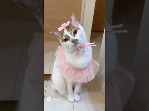 AIにトロを可愛くしてもらいました！ #shorts(YouTube)