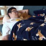 柴犬のお泊まり会でパパまさかの戦力外通告⁉︎ふて寝してたらまさかの神展開へ。(YouTube)