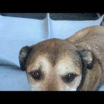 お疲れ様です(YouTube)