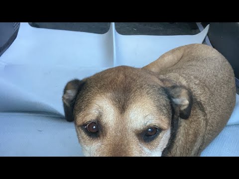 お疲れ様です(YouTube)