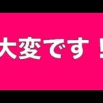 【緊急事態】野犬タキちゃんまだ見つかってないみたいです(YouTube)