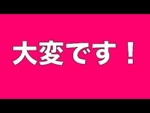 【緊急事態】野犬タキちゃんまだ見つかってないみたいです(YouTube)