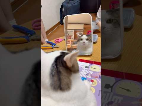 この太ったやつ、誰？(YouTube)