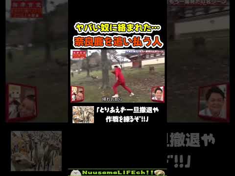 帰れって言われて本当に帰るの草【おもしろ動物】 #funny(YouTube)