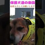 悔いなきように１分１秒を大切に生きよう！　#骨肉腫 #断脚手術 #今を生きる(YouTube)