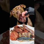 食欲が止まらないピットブルの咀嚼音(YouTube)