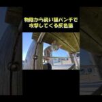 物陰から鋭い猫パンチで攻撃してくる灰色猫 #猫 #ねこ #cat(YouTube)