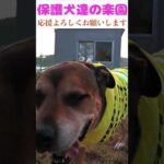 【選曲間違いで再度配信　概要欄チエック】　悔いなきように１分１秒を大切に生きよう！　#成行に任せる #骨肉腫 #断脚手術 #今を生きる #あるがままになさい(YouTube)