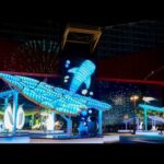 【海遊館】イルミネーション ”Namima”(YouTube)