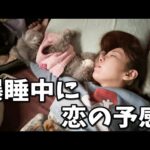 ママが爆睡してる間に動物たちは恋の予感です(YouTube)