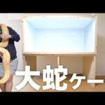 飼ってる巨大ニシキヘビのための巨大ケージを作る(YouTube)