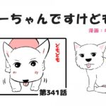 ちーちゃんですけどもっ【第341話】「今年もありがとう」(ブログ)