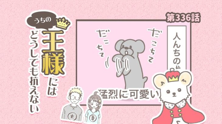 うちの王様にはどうしても抗えない【第336話】「だこちて」(ブログ)