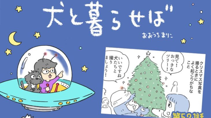犬と暮らせば【第521話】「聖夜の罠」(ブログ)